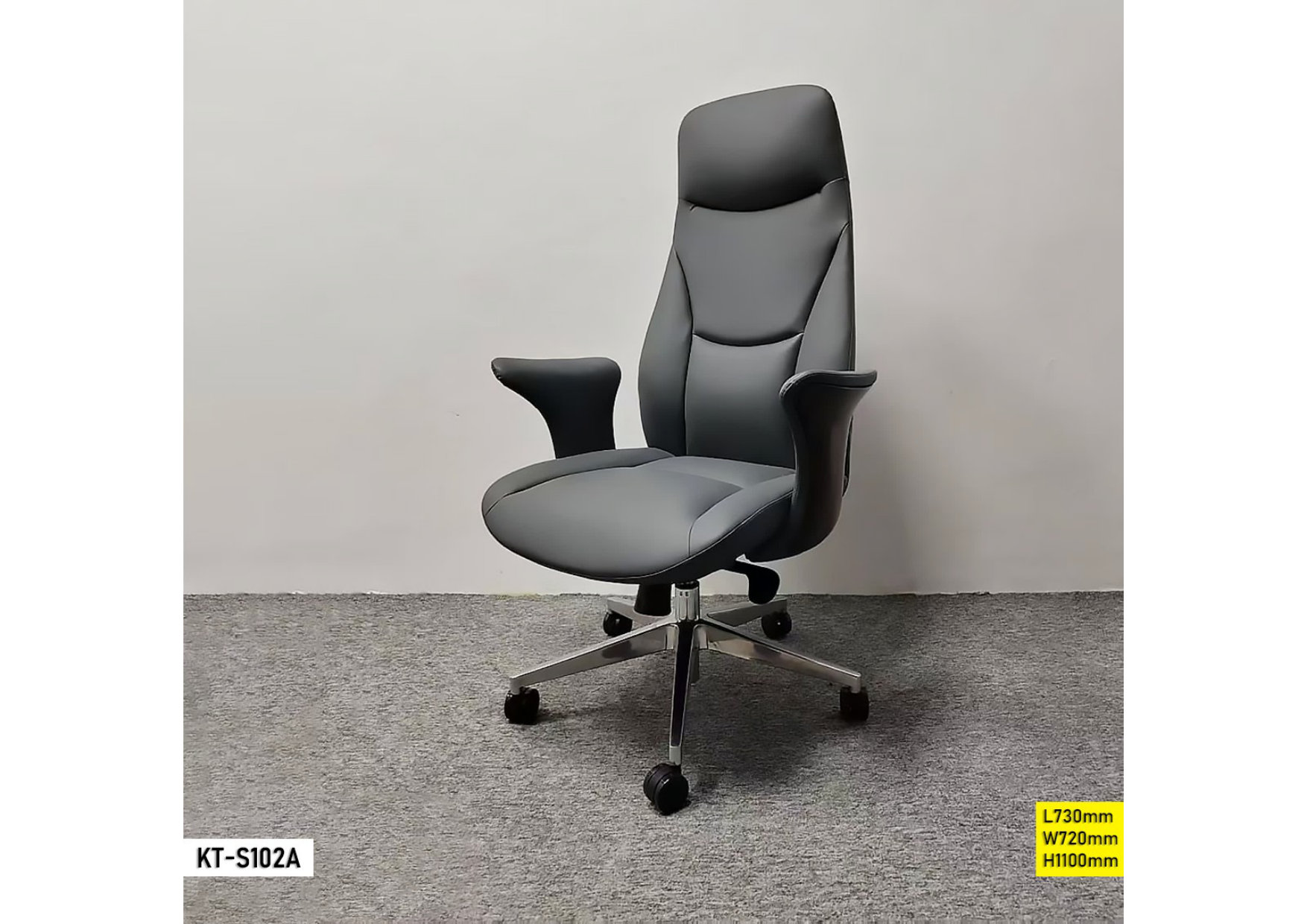 Modèle KT-S102AA
