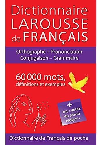 Dictionnaire Larousse français